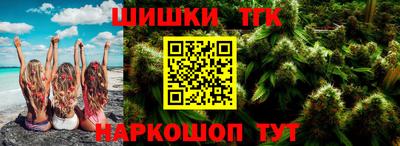 индика Гусь-Хрустальный