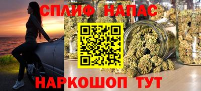 мяу мяу мука Гай