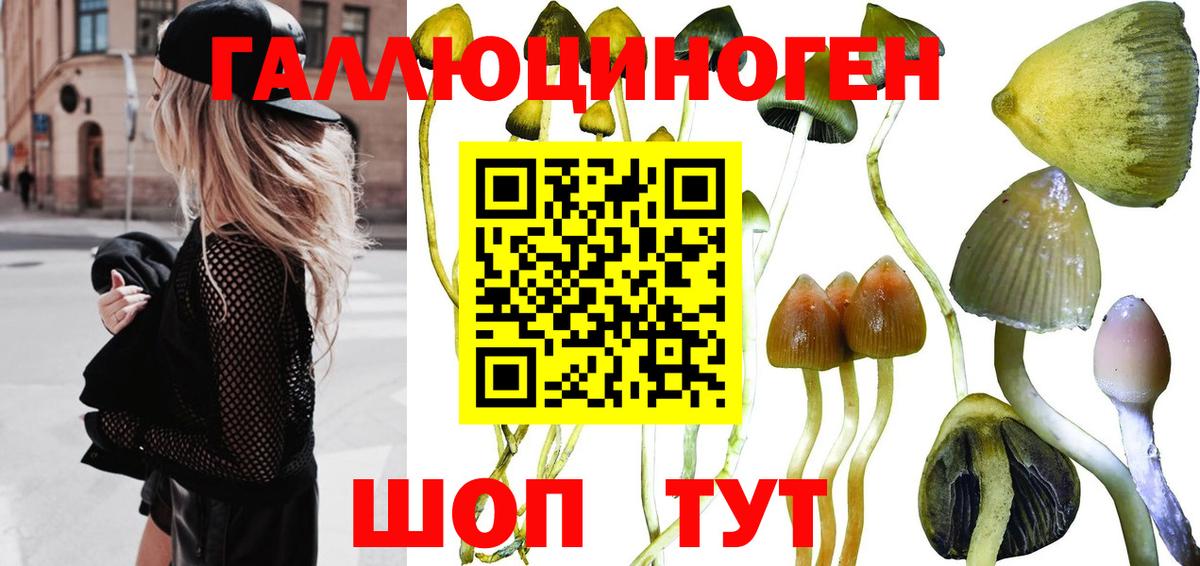 Галлюциногенные грибы GOLDEN TEACHER  Вход с VPN  Галлюциногенные грибы мицелий  как найти закладки  Ипатово 