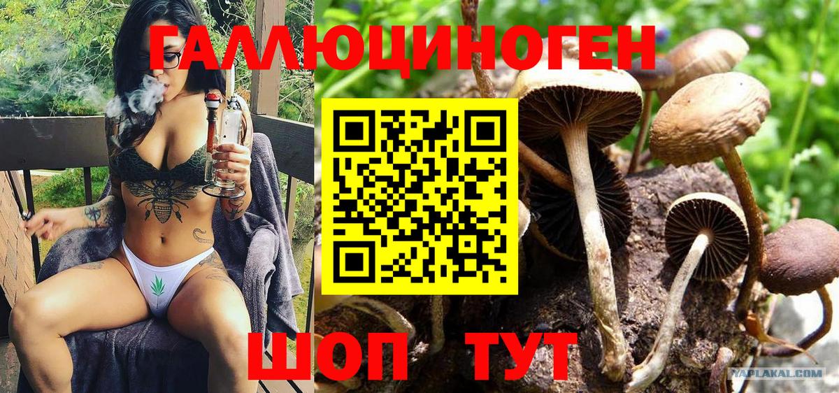 Галлюциногенные грибы ЛСД Ипатово